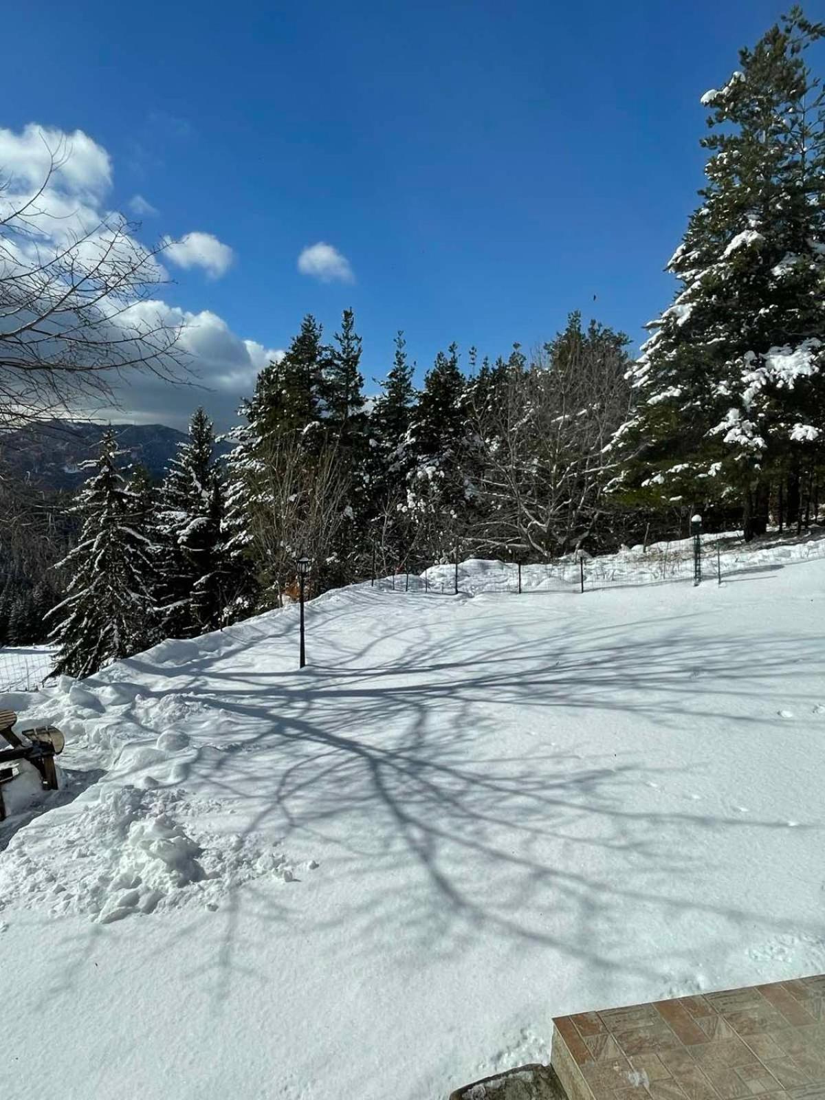 Cassiopea Villas Pamporovo Eksteriør bilde
