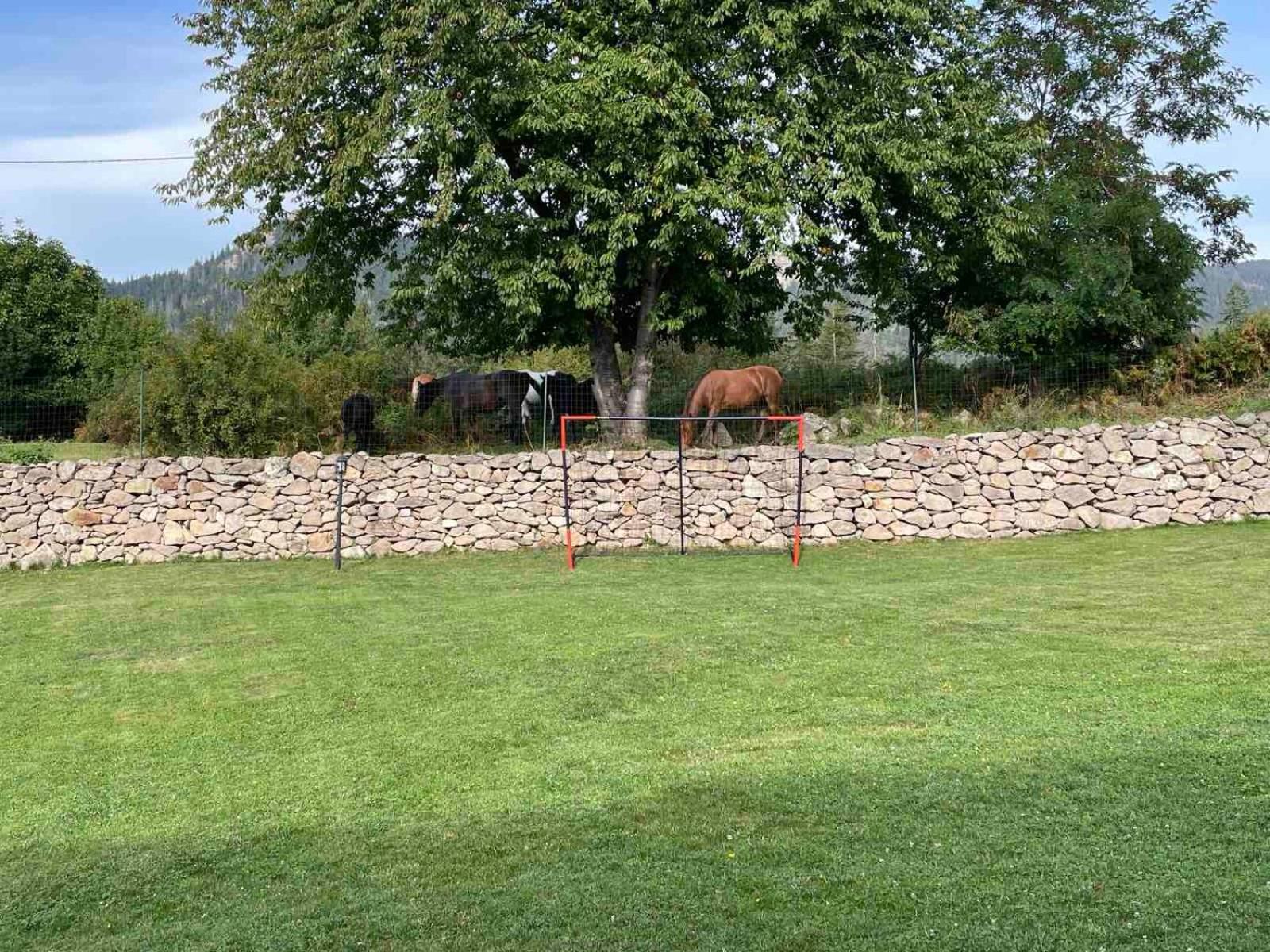 Cassiopea Villas Pamporovo Eksteriør bilde