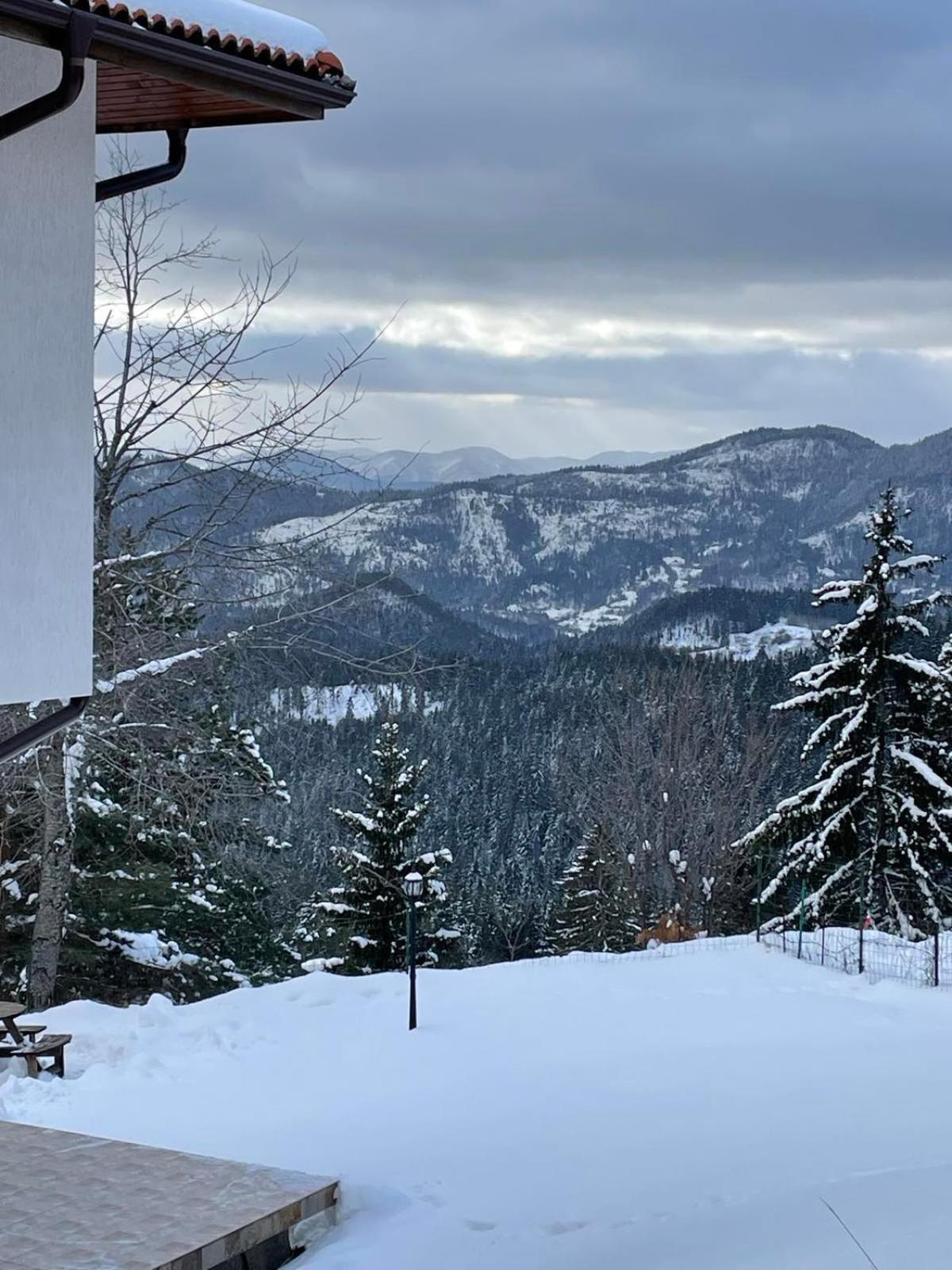 Cassiopea Villas Pamporovo Eksteriør bilde
